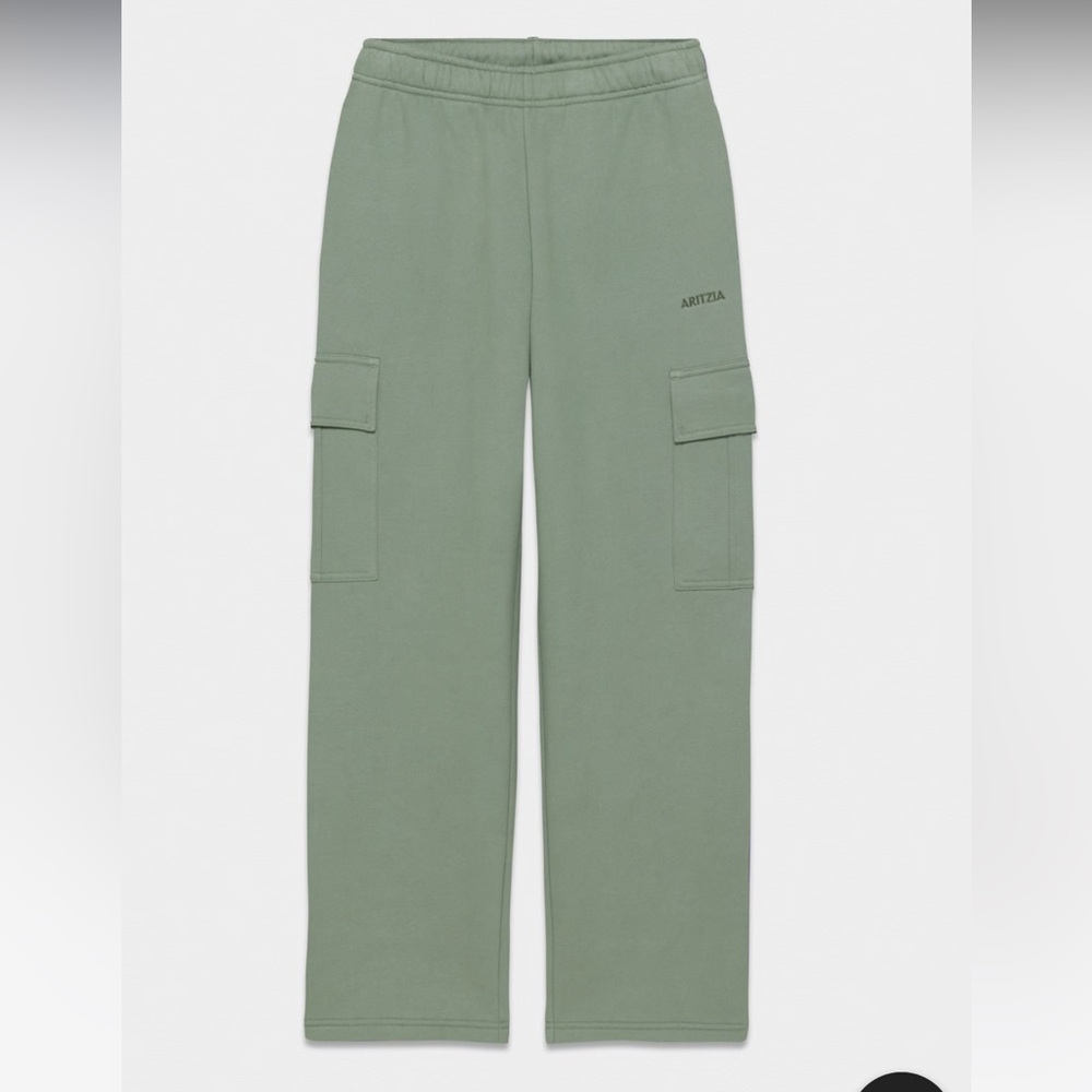 Aritzia green cargo sweatpants